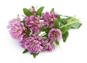 Similar image 432887