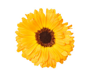 Similar image 432888