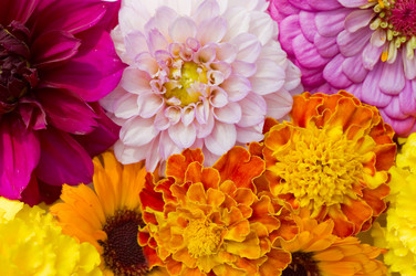 Similar image 432890