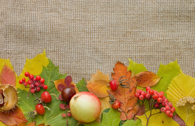 Similar image 432898