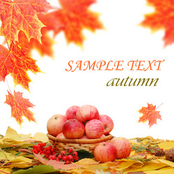 Similar image 432899