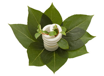 Similar image 432907