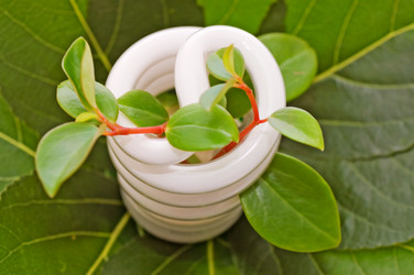 Similar image 432908