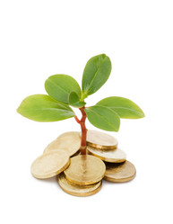 Similar image 432910