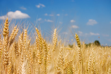 Similar image 432916