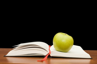 Similar image 432924