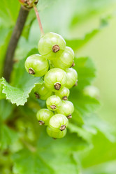 Similar image 432953