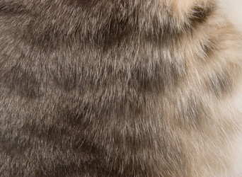 Similar image 432958