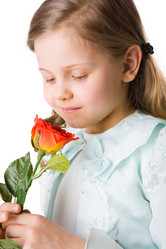 Similar image 432973