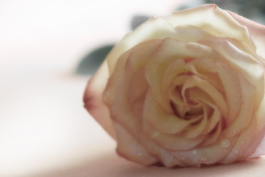 Similar image 433047