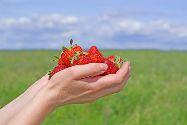 Similar image 433057