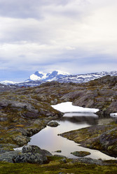 Similar image 433093