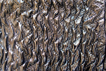 Similar image 433129