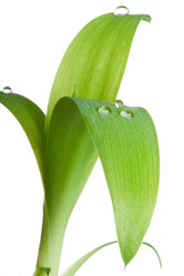 Similar image 433163