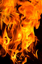 Similar image 433182