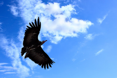 Similar image 433391