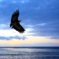 Similar image 433392