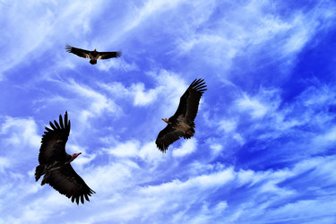 Similar image 433397