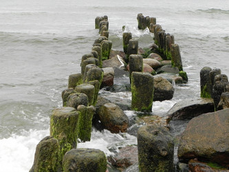 Similar image 433403