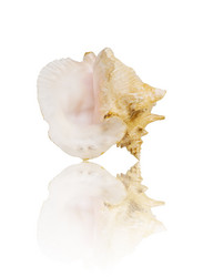 Similar image 433437