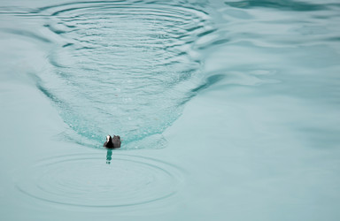 Similar image 433543