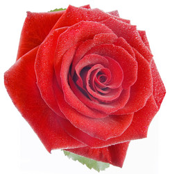 Similar image 433627