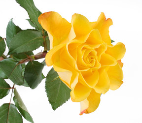 Similar image 433718