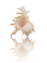 Similar image 433751