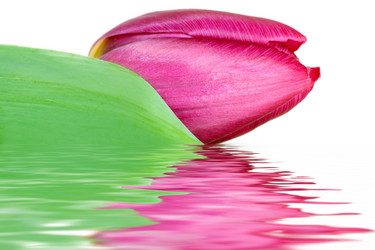 Similar image 433802