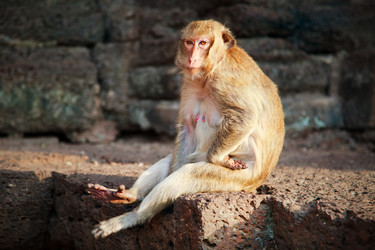 Similar image 433843