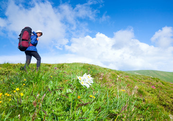 Similar image 433845