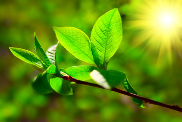 Similar image 433854