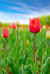 Similar image 433867