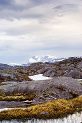 Similar image 433907