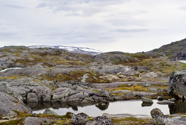 Similar image 433915