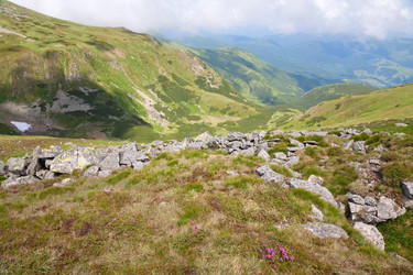 Similar image 433921