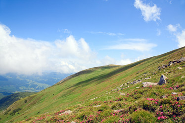 Similar image 433926