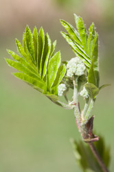 Similar image 433950