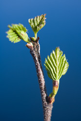 Similar image 433956