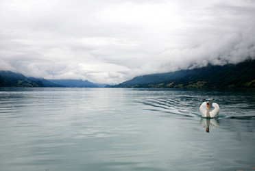 Similar image 433959