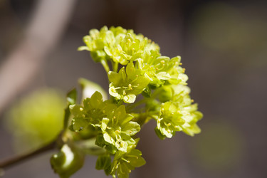 Similar image 433960