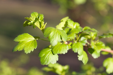 Similar image 433966