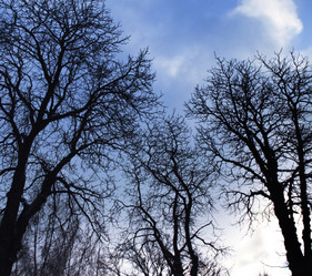 Similar image 433967