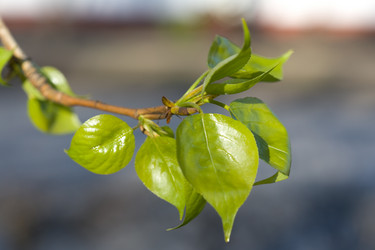 Similar image 433968