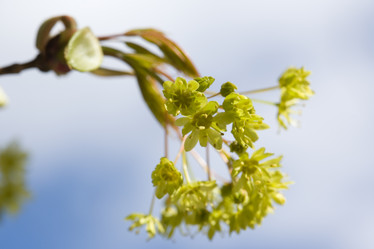 Similar image 433975