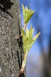 Similar image 433978