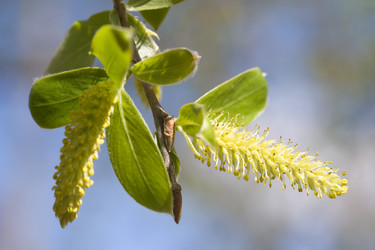 Similar image 433980