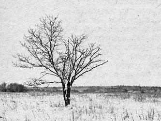 Similar image 433984