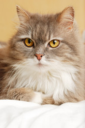 Similar image 433985