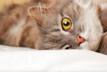 Similar image 433987